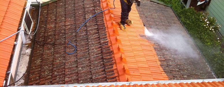 Nettoyage et demoussage de toiture à Pringy (77310) en Seine-et-Marne (77)